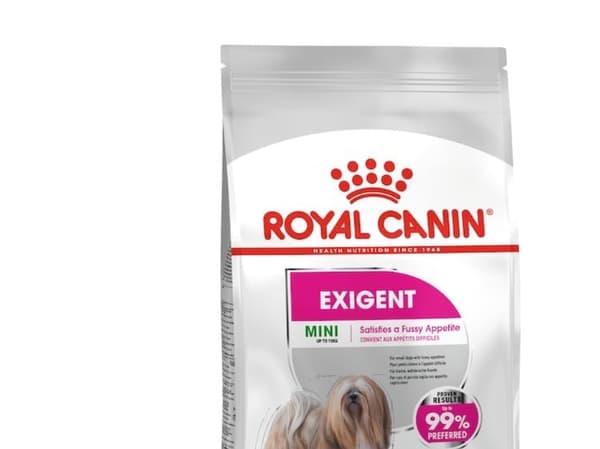 Royal Canin Royal Canin Mini Exigent adult dogs, small and fussy breeds 3kg