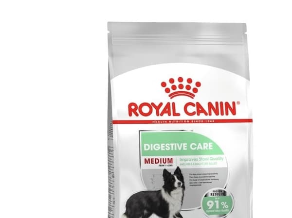 Royal Canin Medium Digestive Care, Vuxen, Medium (11 - 25 kg), 3 kg