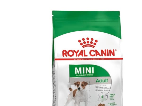 ROYAL CANIN Adult Mini S - kuivaruoka koirille - 4kg