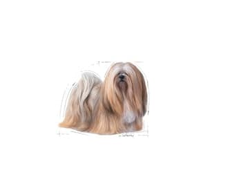 ROYAL CANIN Mini Exigent - torrfoder för kräsna hundar - 1 kg