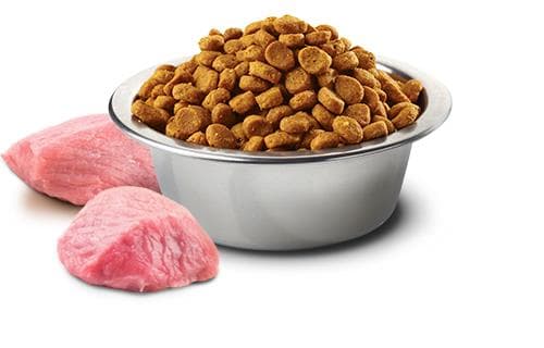 Farmina FARMINA N&D GF GRESSKAR KYLLING&GRANATEPLE VOKSEN MINI - tørr hundemat - 7 kg