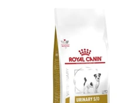 Royal Canin Urinary S/O Small Dog under 10kg, Aikuinen, Pieni (5 - 10 kg), X-Small (< 4 kg), 1,5 kg