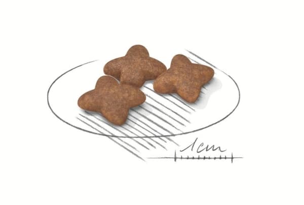 ROYAL CANIN Mini Adult - kuivaruoka koirille - 800 g