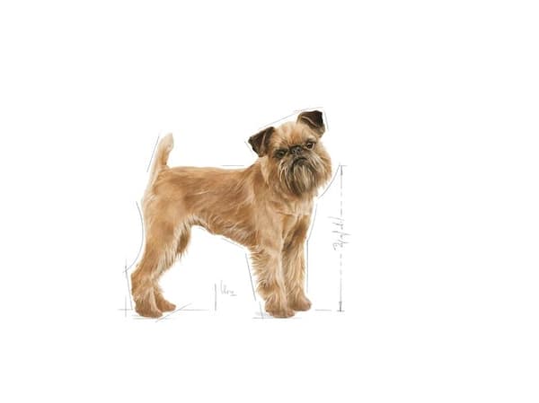 Royal Canin Mini Dental Care, Vuxen, Alla raser, Mini (5 - 10kg), Höns, 3 kg