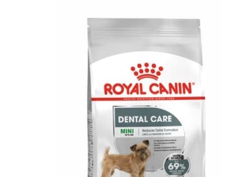 Royal Canin Mini Dental Care, Vuxen, Alla raser, Mini (5 - 10kg), Höns, 3 kg