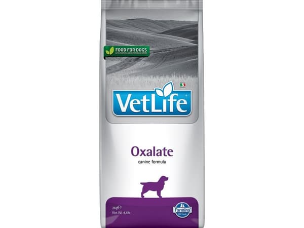 FARMINA Vet Life Oxalate Dog - koiran kuivaruoka - 2 kg