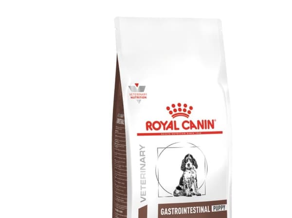 Royal Canin Gastro Intestinal Junior, Valp, Ris, 1 kg, Glutenfri