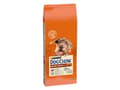 Pikkukuva 2 / 5: PURINA Dog Chow Mature Senior with Lamb - kuivaruoka koirille - 14 kg
