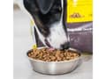 Pikkukuva 3 / 5: Harmony Small Breed Hundfoder 2kg
