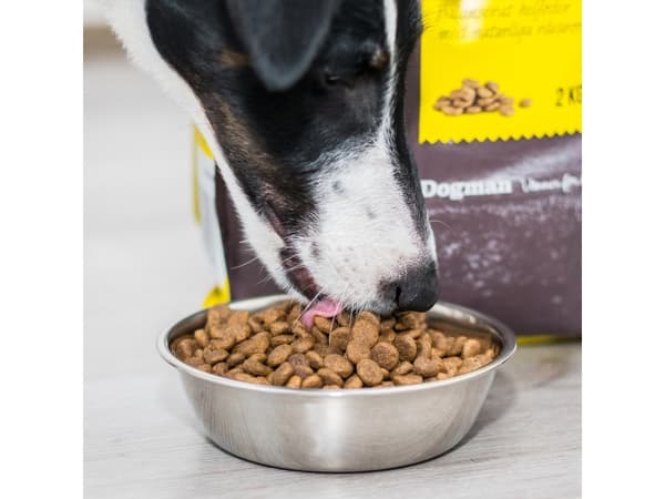 Harmony Small Breed Hundfoder 2kg