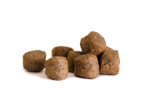 Harmony Adult Hundfoder 3kg