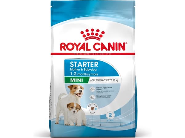 ROYAL CANIN SHN Mini Starter Mother &amp; Babydog - kuivaruoka koirille - 4 kg