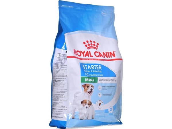 ROYAL CANIN SHN Mini Starter Mother &amp; Babydog - kuivaruoka koirille - 4 kg