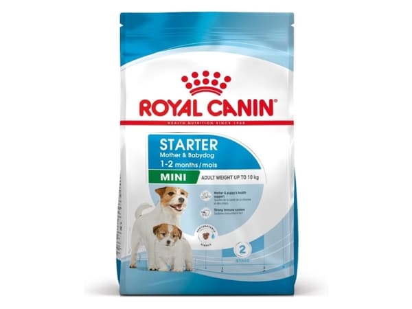 ROYAL CANIN SHN Mini Starter Mother &amp; Babydog - kuivaruoka koirille - 4 kg