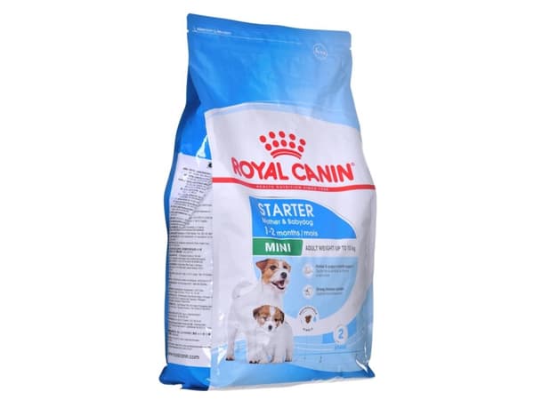 ROYAL CANIN SHN Mini Starter Mother &amp; Babydog - kuivaruoka koirille - 4 kg