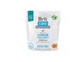 Pikkukuva 1 / 2: Kuivaruoka nuorille koirille (3 kk - 2 v), suurille roduille yli 25 kg - Brit Care Dog Grain-Free Junior Large Large Large lohi 1kg
