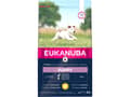 Pikkukuva 2 / 2: Eukanuba Euk Puppy Small Breed 3 kg