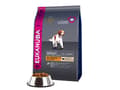 Pikkukuva 1 / 3: Eukanuba ADULT, Adult, Maxi (26 - 44 kg), karitsaa, riisiä, 2,5 kg