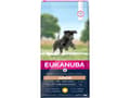 Pikkukuva 2 / 2: Eukanuba EUK Junior Large Breed Chicken 15KG