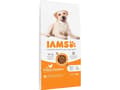 Pikkukuva 2 / 4: Iams Vitality Adult Large 12 kg