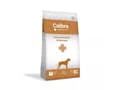 Miniatyrbilde 1 av 2: CALIBRA Veterinary Diets Dog Gastrointestinal & Pancreas - tørfoder til hunde - 12kg