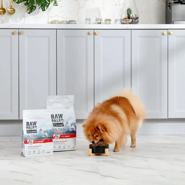 RAW PALEO Ultra Mini Adult nötkött - torrfoder för hund - 750 g