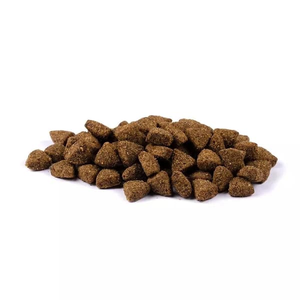 Brit Fresh Overweight & Senior dogs Fit & Slim, Turkey, 12 kg