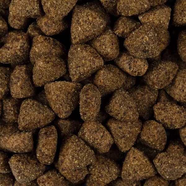 Brit Fresh Overweight & Senior dogs Fit & Slim, Turkey, 12 kg