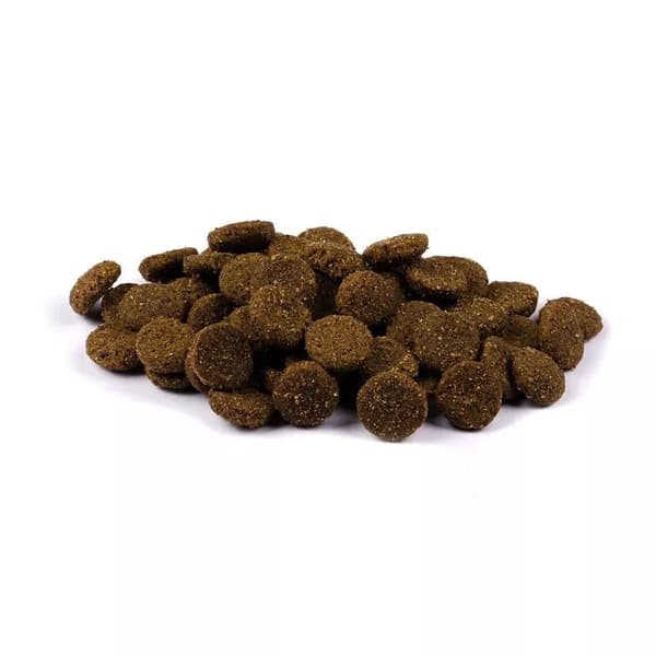 Brit Fresh Puppy Large Breed Growth & Joints, Beef, 12 kg