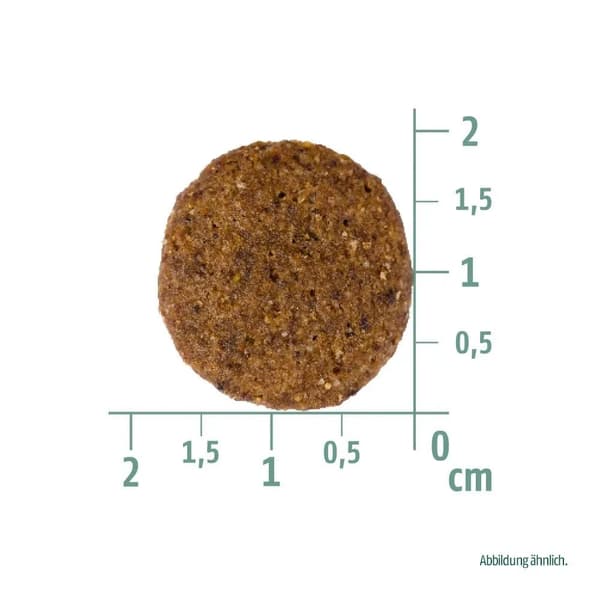 Christopherus - Adult 4kg