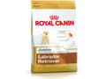 Miniatyrbilde 1 av 2: Royal Canin Labrador Retriever Junior karma sucha dla szczeniąt do 15 miesiąca, rasy labrador retriever 3kg