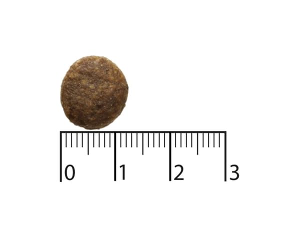 Bozita 9117388, Vuxen, Alla raser, Hjort, 2,5 kg