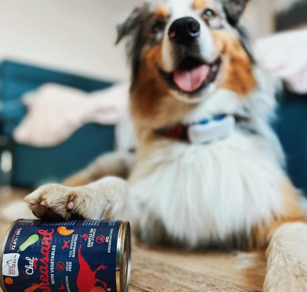 Vådfoder til hunde CHEF Fasan med grøntsager PREMIUM Syta Micha monoprotein