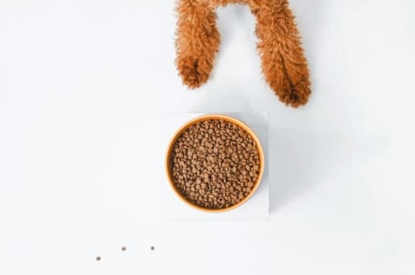 Nature's Protection tørfoder til hunde RED COAT SALMON små racer 10 kg