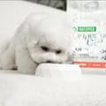 Miniatyrbild 4 av 6: Nature's Protection torrfoder för valpar LAX 1,5 kg