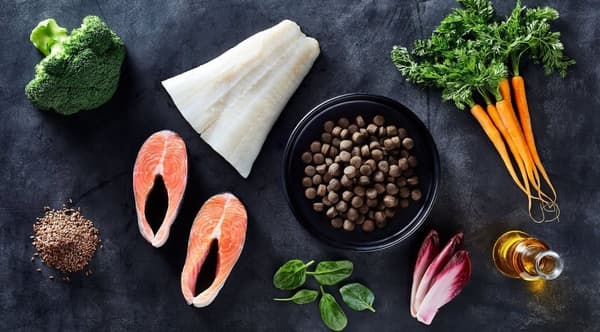 JOHN DOG PREMIUM torrfoder för hundar VIT FISK MED LAX 3 kg