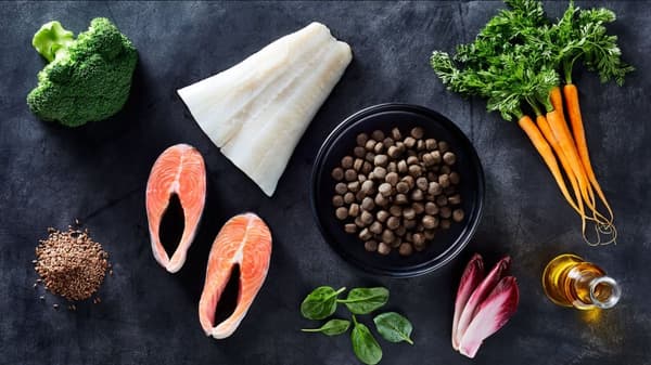 JOHN DOG PREMIUM torrfoder för hundar VIT FISK MED LAX 3 kg