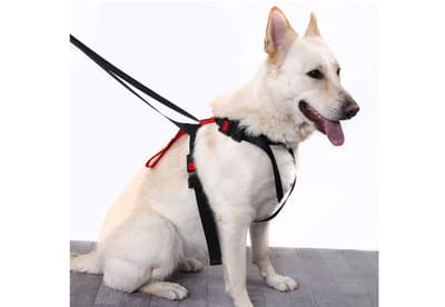 Artfex Dog Harness Small hundsäkerhetsbälte