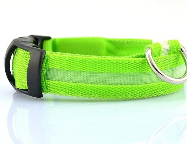 LED-halsband|grön