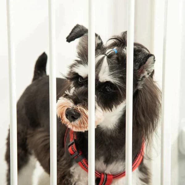 Rootz Dog Barrier - Oven portti - Lemmikkien portti - Kulmassa säädettävä - Taitettava portti automaattisesti sulkeutuvalla ovella - 3 paneelia - Valk