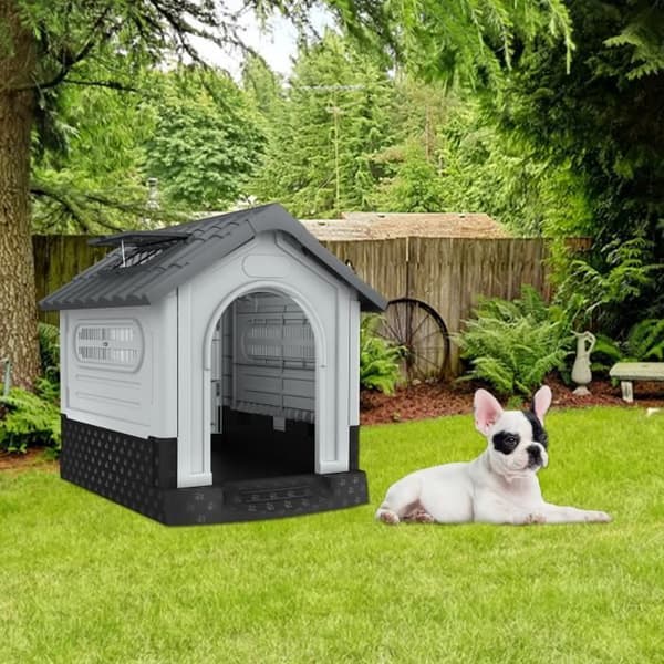 Hus för hundar - XMTECH - Utomhusmodell - Polypropen - 65x56,5x67 cm - Väderskydd