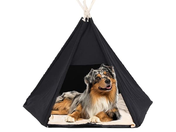 Tipi Tält för Hund & Katt