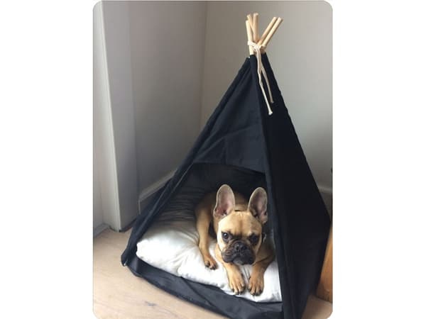 Tipi Tält för Hund & Katt