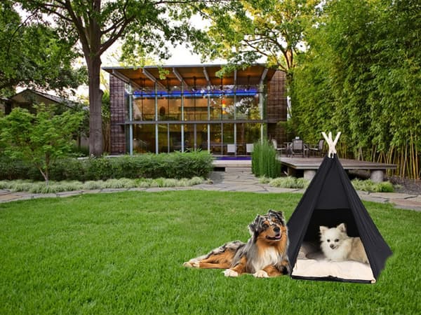 Tipi Tält för Hund & Katt