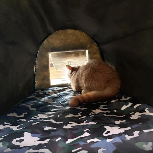 Utomhuskatthem, Väderbeständig Isolerad, Mysig Skydd,M