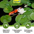 Miniatyrbild 2 av 5: TETRA Pond AquaSafe Water Conditioner - För dammfisk - 500 ml