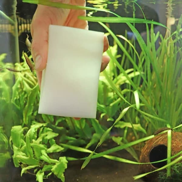 Underhåll - Hobbybehandling - 61490 - Bravo Anti-algae Eraser SB