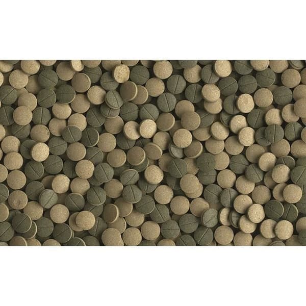 Tetra Pleco XL tabletter 133 Tab. - 210035