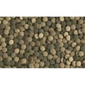 Miniatyrbild 2 av 2: Tetra Pleco XL tabletter 133 Tab. - 210035