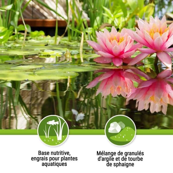TETRA Pond AquaticCompost 8l